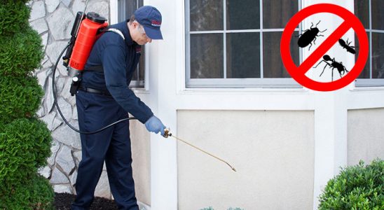 Üçyol Kemirgen İlaçlama böcek ilaçlama ve haşere kontrolü — ilaclama-tr.com
